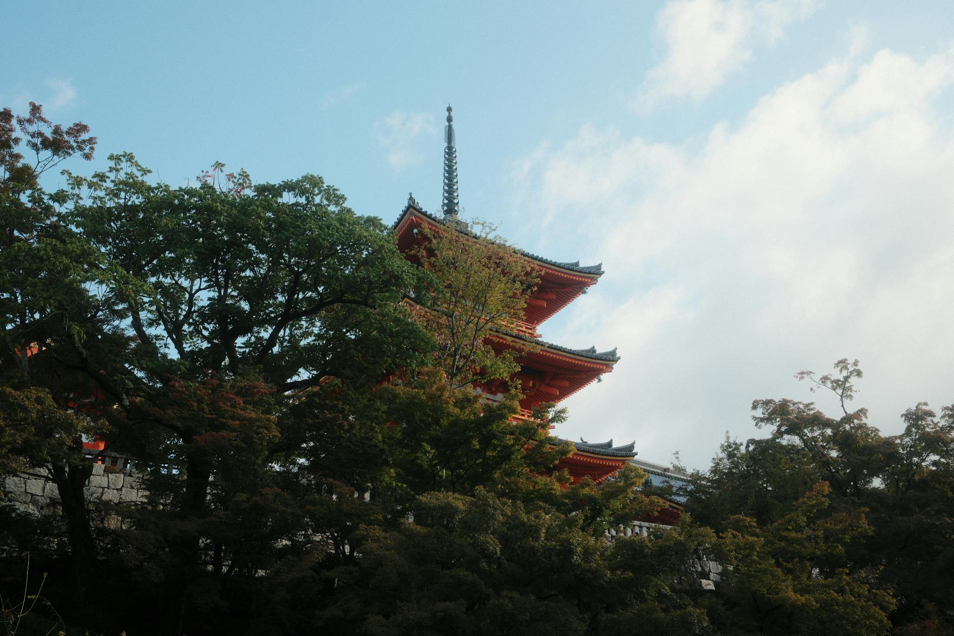 Photo by Nizar Firmansyah on Pexels