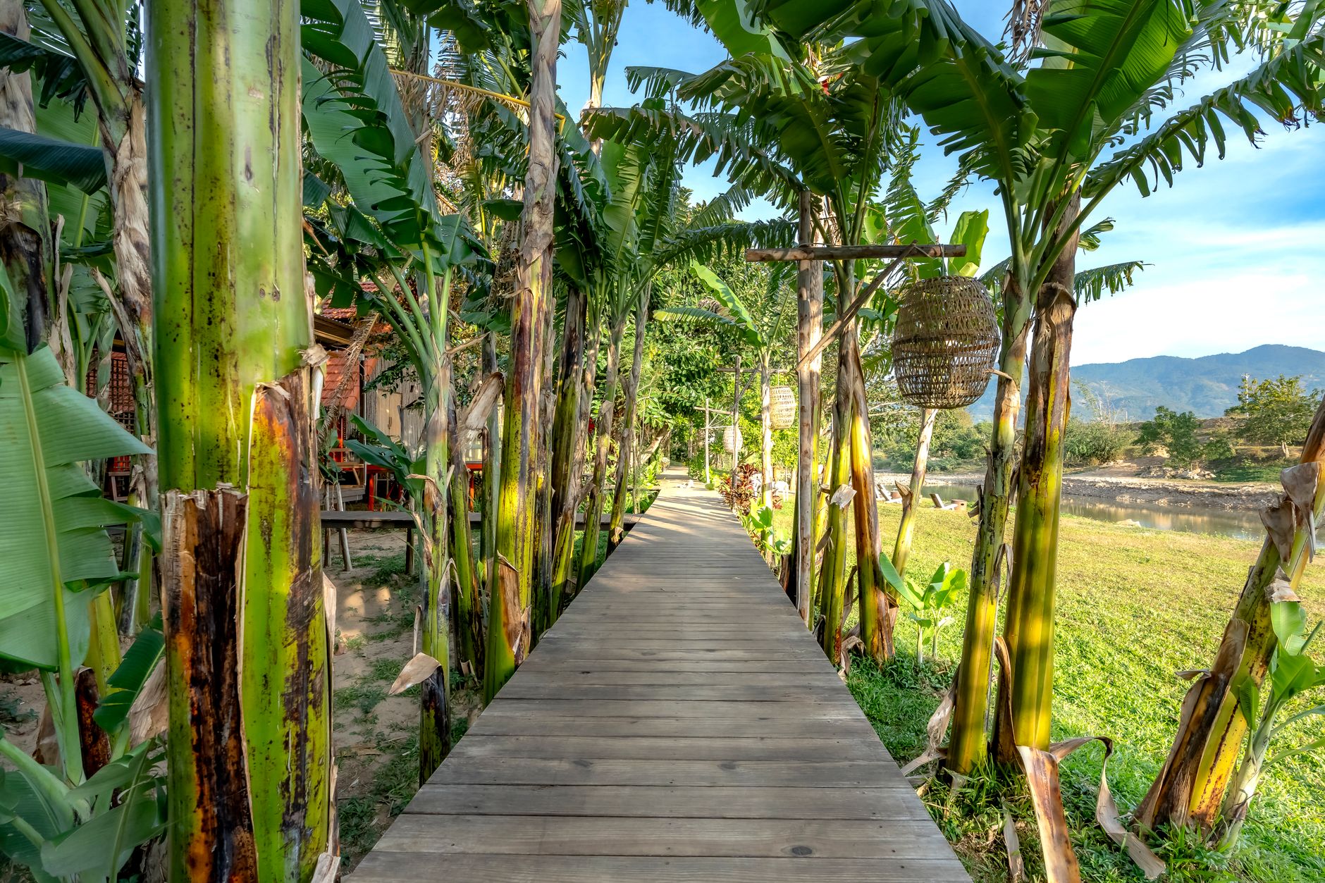 Modern coworking space in Chiang Mai where the nomad community gathers