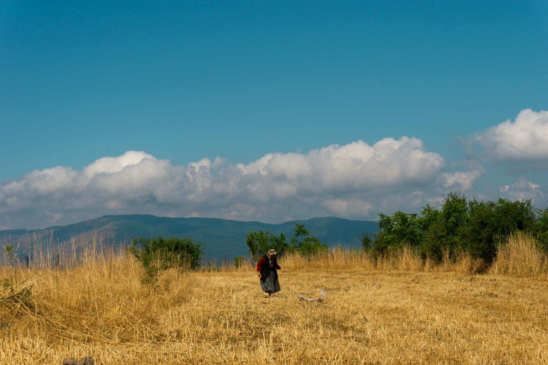 Traveler thinking - Photo by erkan zengin on Pexels