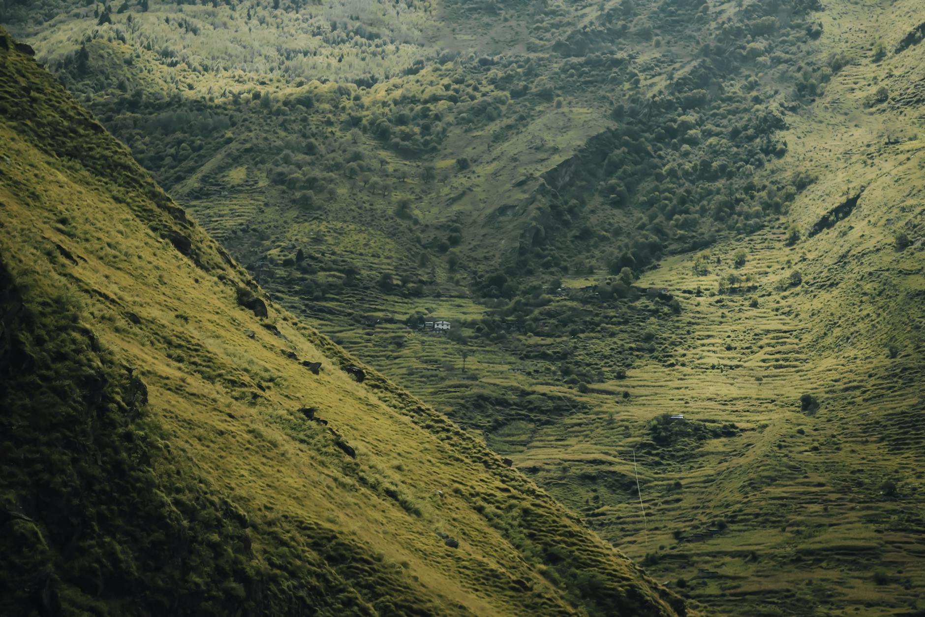 Photo by Ashok J Kshetri on Pexels