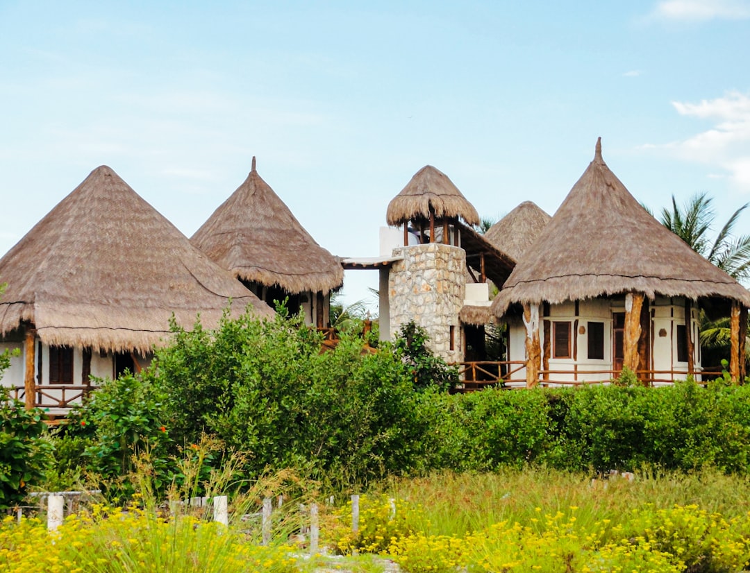 A luxury eco-friendly resort blending into a lush natural environment