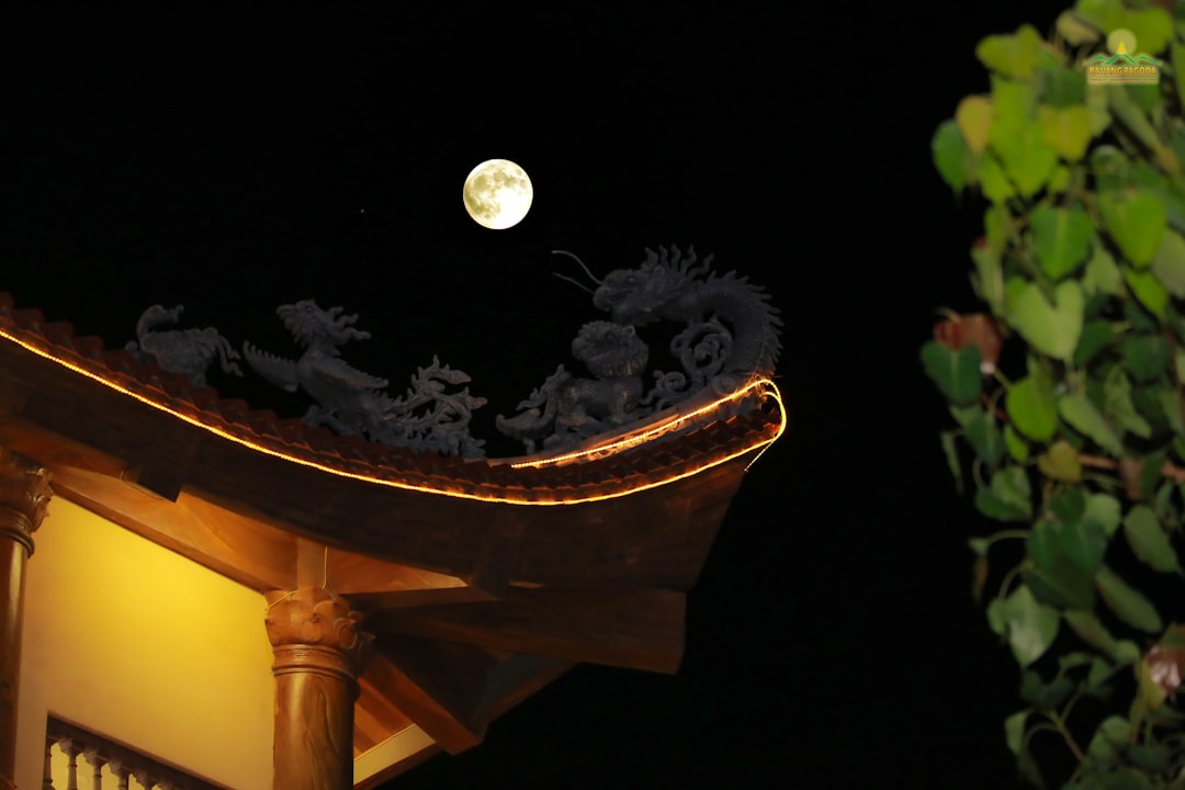 Photo by Ba Vang Pagoda on Unsplash