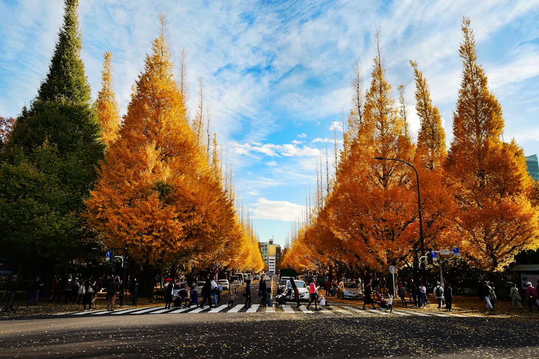 Tokyo ginkgo avenue in autumn - Photo by Tom Tor on Unsplash