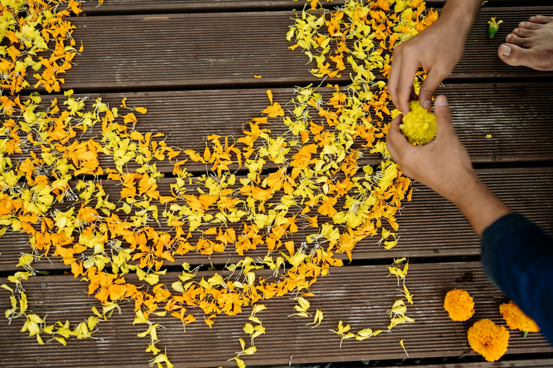 Traditional krathongs made from banana leaves and marigolds lined up on a riverbank before being floated