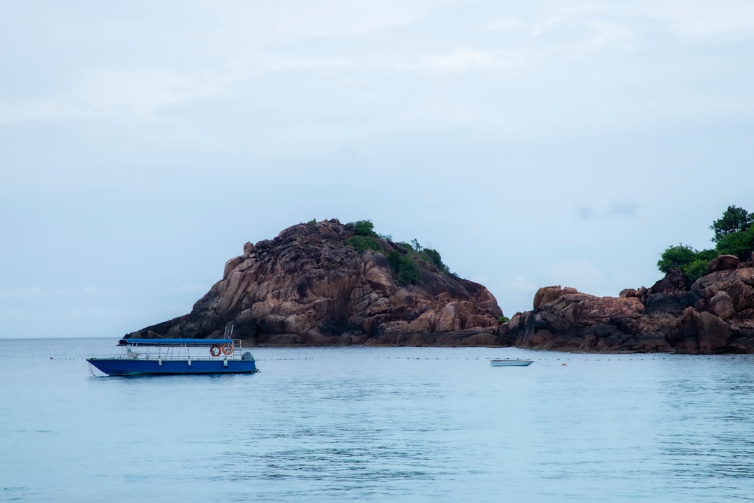 Malaysia diving underwater coral reef scene with tropical marine life and clear blue water