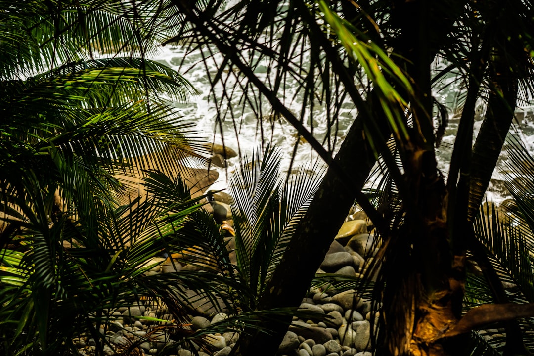 Photo by Eelco Böhtlingk on Unsplash
