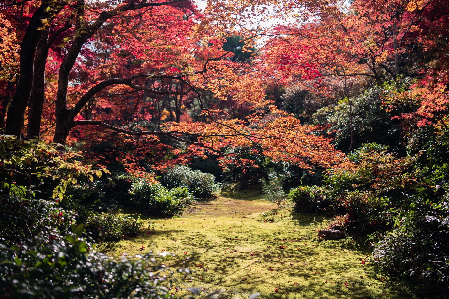 Kanazawa Autumn Garden - Photo by Satoshi Hirayama on Pexels