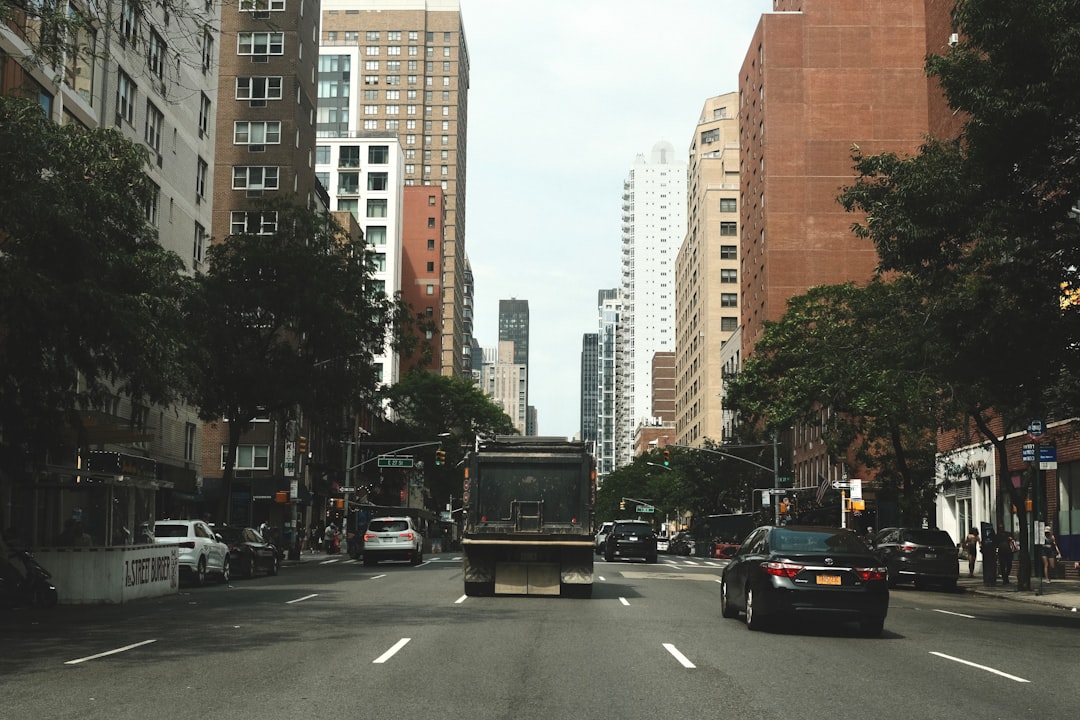 Photo by Lindsey Pak on Unsplash