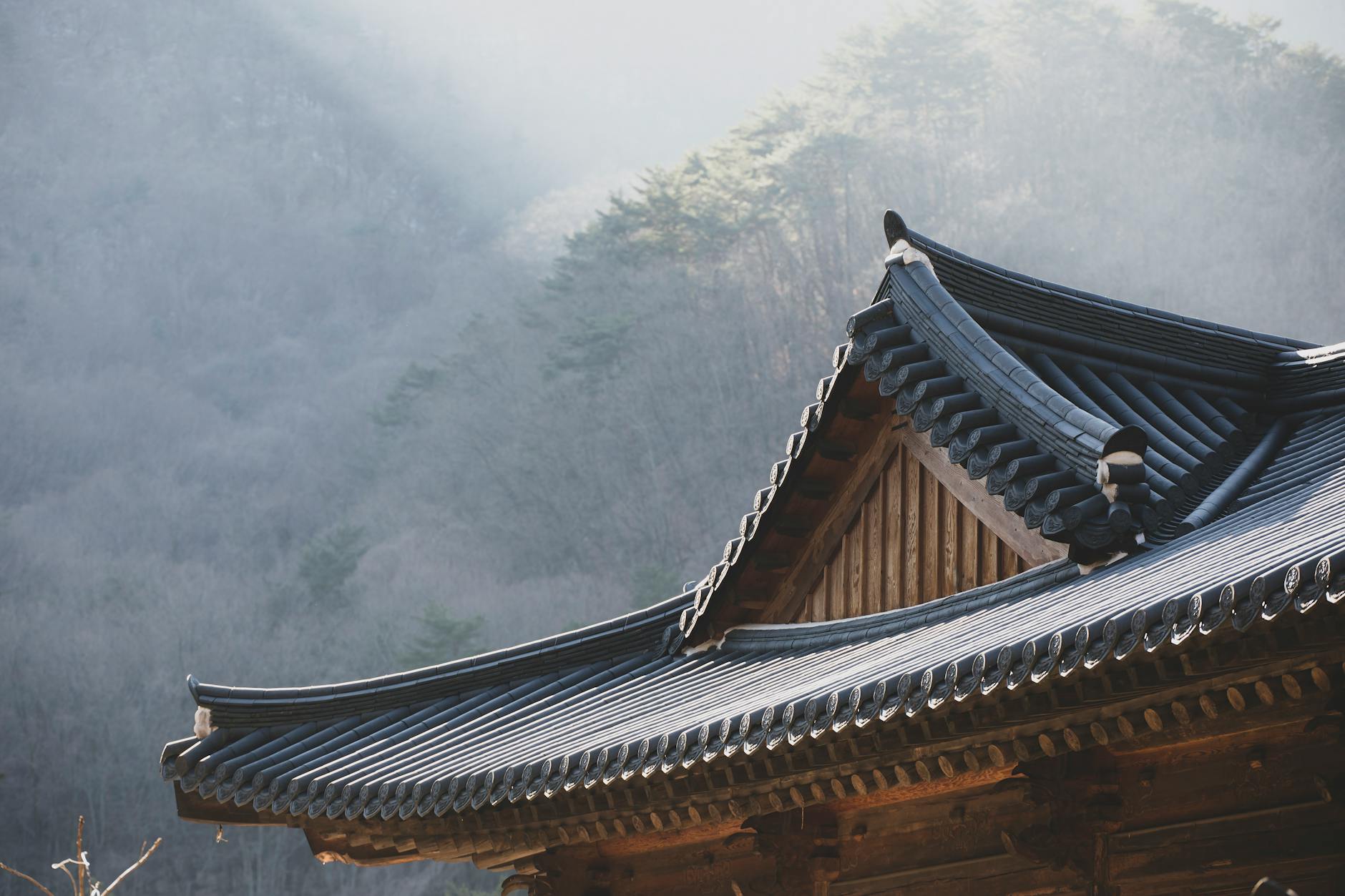 Respectful temple behavior - Photo by 정규송 Nui MALAMA on Pexels