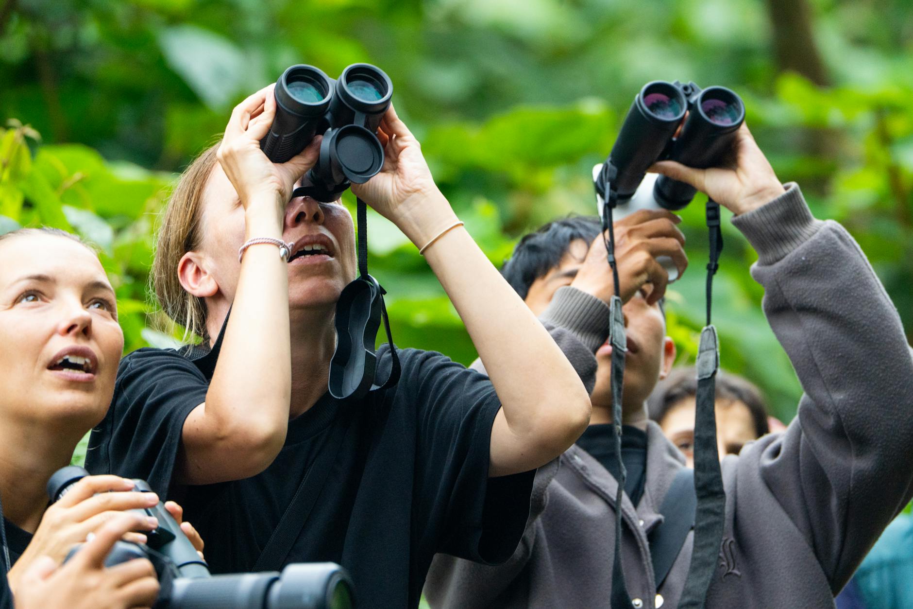 Binoculars and bird watching gear