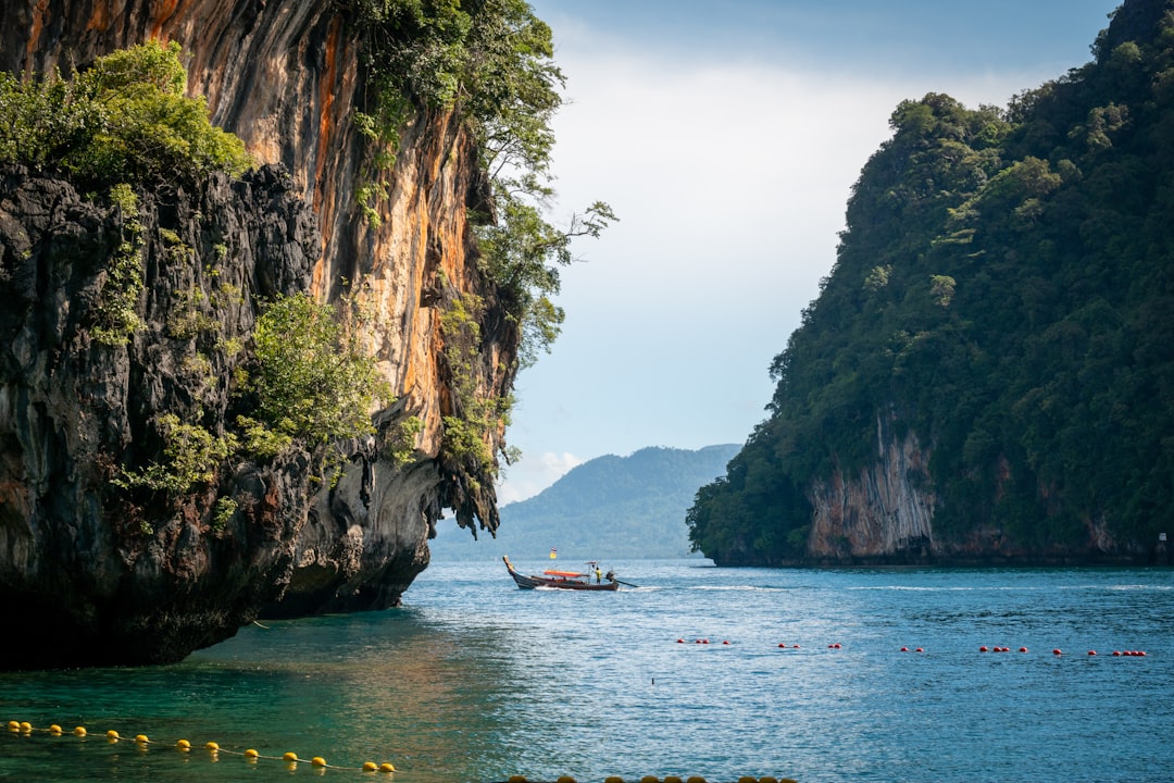 Bird watching in a tropical Thai forest setting