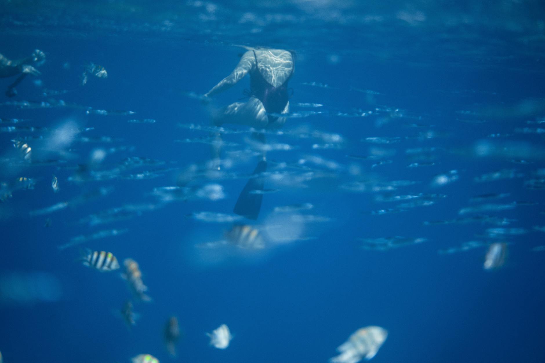Divers in wedding attire descending together beneath the Andaman Sea with colorful coral reefs in the background